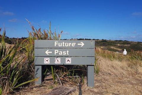 未來拉薩網站建設的技術方向是什么？